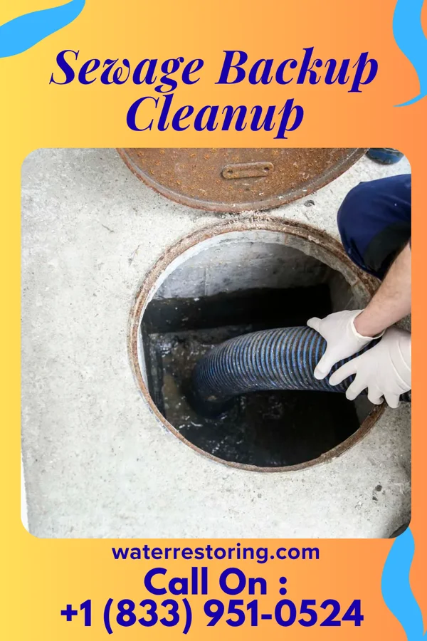 Sewage Backup Cleanup in Byron, OK