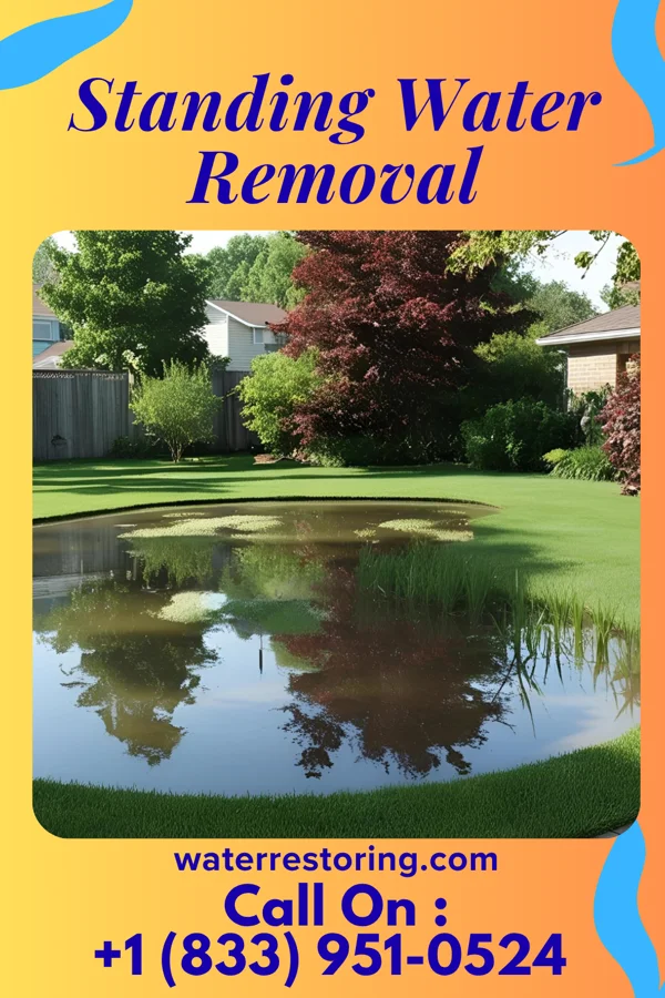 Standing Water Removal in Byron, OK